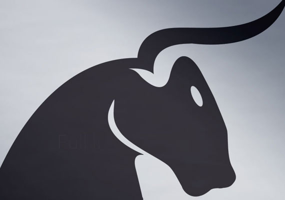 Entwicklung eines Logos im Berreich Bio-Nahrungsergänzungsmittel für Zuchtiere.