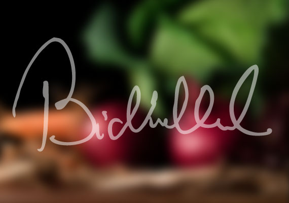 Branding, Webdesign und Umsetzung für ein Unternehmen spezialisiert auf die Herstellung und Vermarktung von hochwertige, ökologische Lebensmittel im Fach- und Consumerbereich.